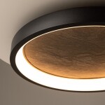 Фото 1 Потолочный светильник Maytoni MOD311CL-L40B3K