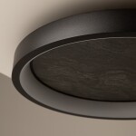 Фото 3 Потолочный светильник Maytoni MOD311CL-L40B3K