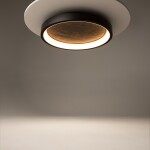Фото 6 Потолочный светильник Maytoni MOD311CL-L40B3K