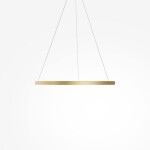 Фото 6 Подвесной светильник Maytoni MOD058PL-L42BSK