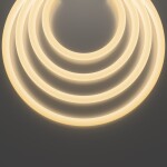 Фото 7 Гибкий неон Led Strip 20301