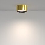 Фото 6 Потолочный светильник Technical C091CL-12W4K-BS