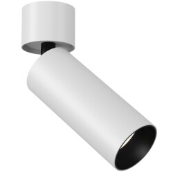 Фото Потолочный светильник Technical C055CL-L12W3K