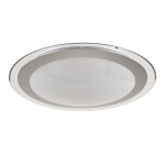 Фото 3 Потолочный светильник Freya FR6998-CL-45-W