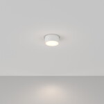 Фото 1 Потолочный светильник Technical C032CL-L12W4K