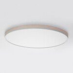 Фото 4 CL749500 NORMA Белый с пультом и RGB