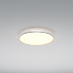 Фото 4 Потолочный светильник Maytoni MOD426CL-L43WK1
