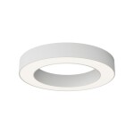 Фото Потолочный светильник Technical C093CL-36W4K-W