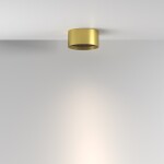 Фото 3 Потолочный светильник Technical C122CL-L7-3K-BS