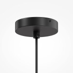 Фото 4 Подвесной светильник Maytoni MOD613PL-05W