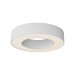Фото Потолочный светильник Technical C093CL-24W3K-W