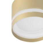 Фото 3 CL002C12 Hardy Золото Св-к Потолочный