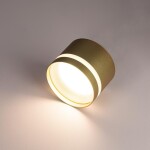 Фото 4 CL002C12 Hardy Золото Св-к Потолочный