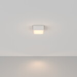 Фото Потолочный светильник Technical C067CL-L12W3K