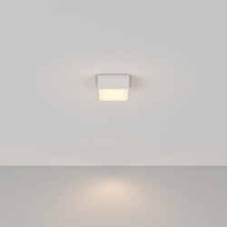 Фото Потолочный светильник Technical C067CL-L12W3K