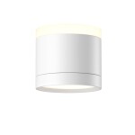 Фото Потолочный светильник Technical C120CL-GX53-W