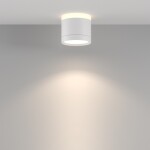 Фото 3 Потолочный светильник Technical C120CL-GX53-W