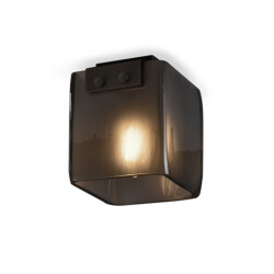 Фото Потолочный светильник 5061C black/smoky