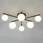 Фото 1 CL209261 GLOB Черный Св-к Люстра