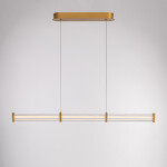 Фото 1 Подвесной светильник MD25020402-1C gold