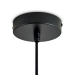 Фото 4 Подвесной светильник Freya FR5595PL-01B