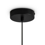 Фото 3 Подвесной светильник Freya FR5593PL-01B1