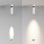 Фото 1 Потолочный светильник Technical C055CL-L12W3K-SS-W