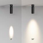 Фото 3 Потолочный светильник Technical C055CL-L12W3K-SS-B