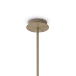 Фото 1 Подвесной светильник Freya FR2057PL-07BG