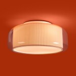 Фото 4 Потолочный светильник Freya FR2055CL-03CH