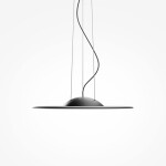 Фото 4 Подвесной светильник Maytoni MOD471PL-L57BK