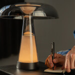 Фото 1 Настольный светильник Maytoni MOD484TL-L8BK