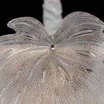 Фото 3 CL305180 DRYAD Люстра