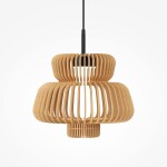 Фото 3 Подвесной светильник Maytoni MOD465PL-L12BK1