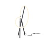 Фото Настольный светильник Maytoni MOD369TL-L15B3K