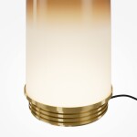 Фото 2 Настольный светильник Maytoni MOD488TL-L8BS3K