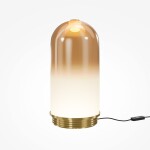 Фото 3 Настольный светильник Maytoni MOD488TL-L8BS3K