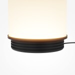 Фото 4 Настольный светильник Maytoni MOD488TL-L8B3K