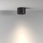 Фото 3 Потолочный светильник Technical C122CL-GX53-B