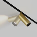 Фото 4 Трековый светильник Technical TR032-2-12W4K-S-MG