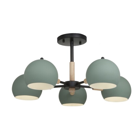 Фото Потолочный светильник Freya FR5032CL-05B