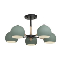 Фото Потолочный светильник Freya FR5032CL-05B