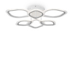 Фото Потолочный светильник Freya FR10016CL-L72W