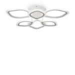 Фото 1 Потолочный светильник Freya FR10016CL-L72W