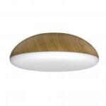 Фото 1 8133 Потолочный светильник KAZZ