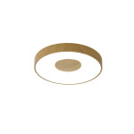 Фото 1 7568 Потолочный светильник COIN