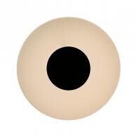 Фото 8011 Настенный светильник VENUS