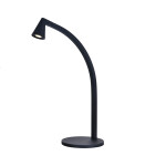 Фото 9415 Настольная лампа AFRICA