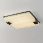 Фото 19 Потолочный светильник 8212C/500 black/white