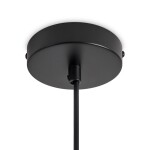 Фото 4 Подвесной светильник Freya FR5628PL-01BGW